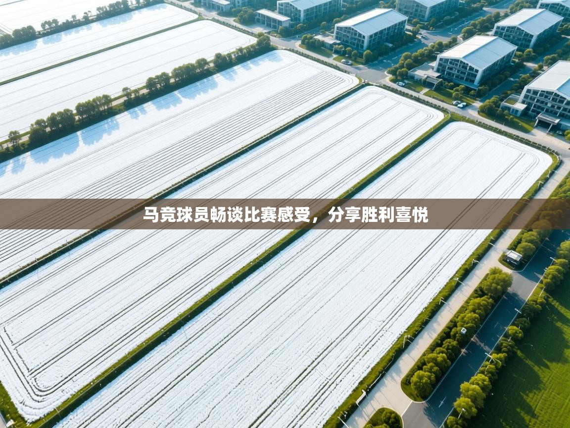 马竞球员畅谈比赛感受，分享胜利喜悦  第2张