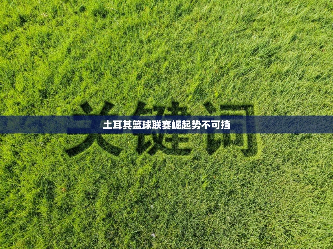 土耳其篮球联赛崛起势不可挡 第2张